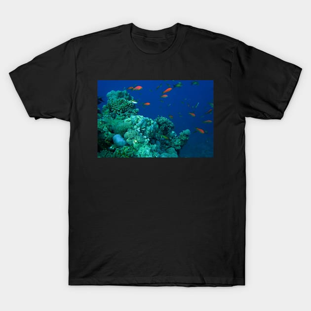 MARINE AQUATIC LIFE T-Shirt by likbatonboot